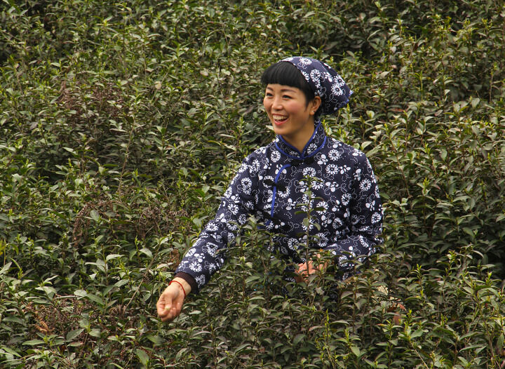 152网主 皮囊之下